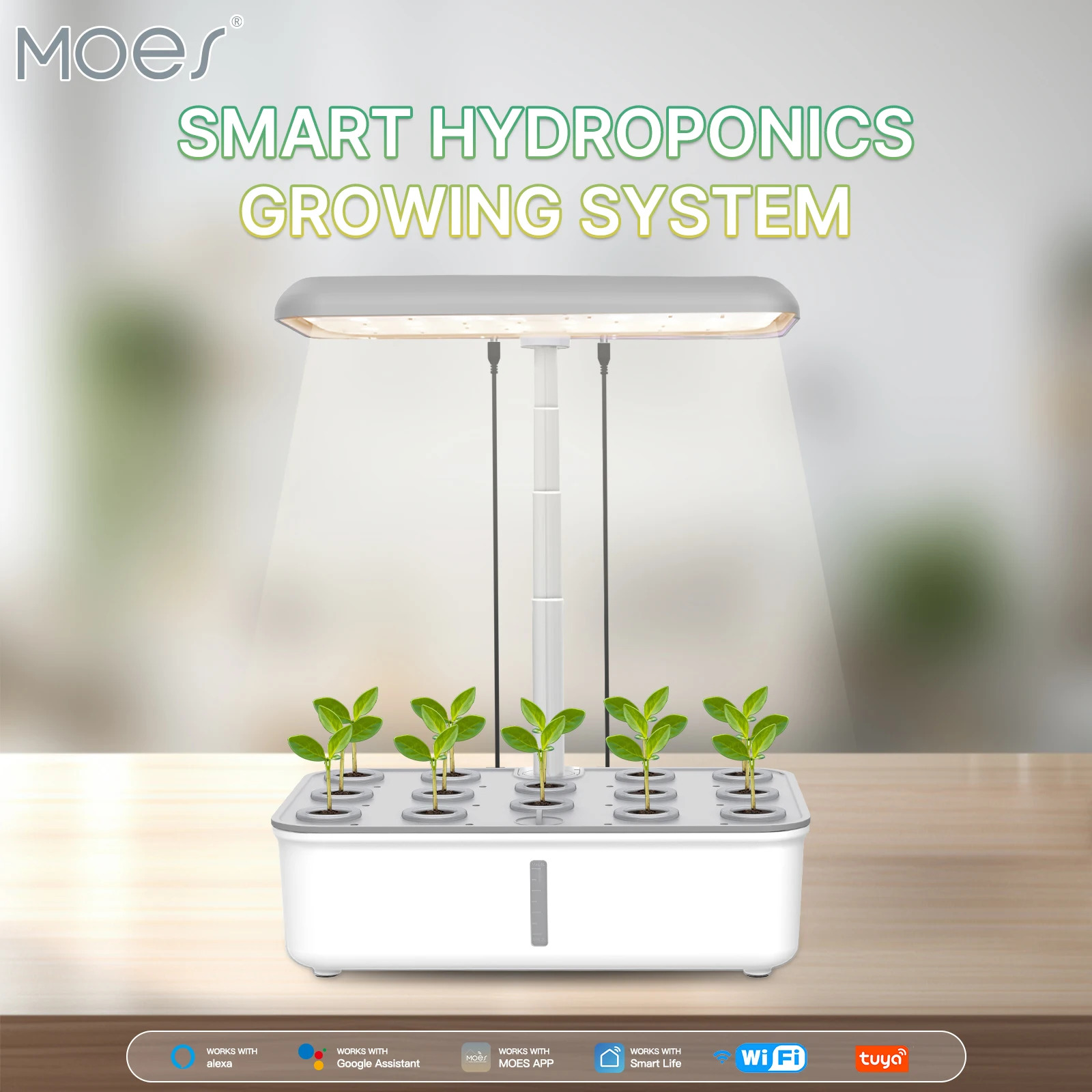 Smart Home TUYA WGH-YC01-EU