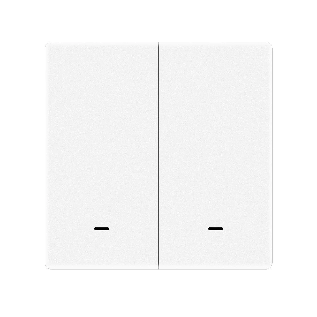 Smart Home TUYA ZT-B-EU2-W