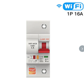 Smart Home TUYA WCB-SC-1P16M